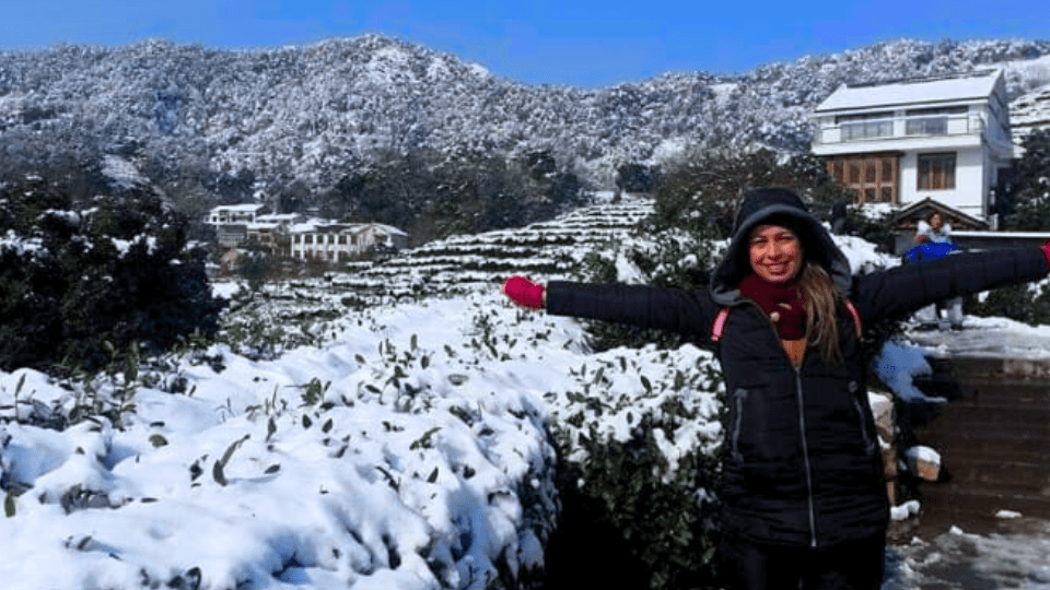 Campos de Arroz terrazas Hangzhou